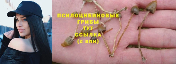 ешки Нефтегорск