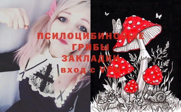 стаф Нея