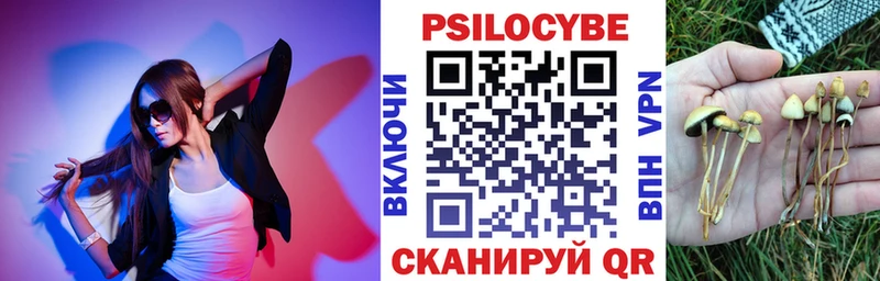Галлюциногенные грибы GOLDEN TEACHER  Шагонар 
